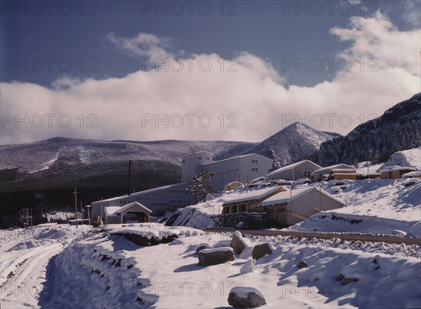 First snow of the season in the foothills of the Little Belt Mount..., Meagher County, Montana, 1942 Creator: Russell Lee.