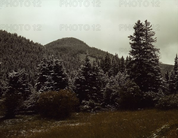 First snow of the season in the foothills of the Little Belt Mount...Meagher County, Montana, 1942. Creator: Russell Lee.