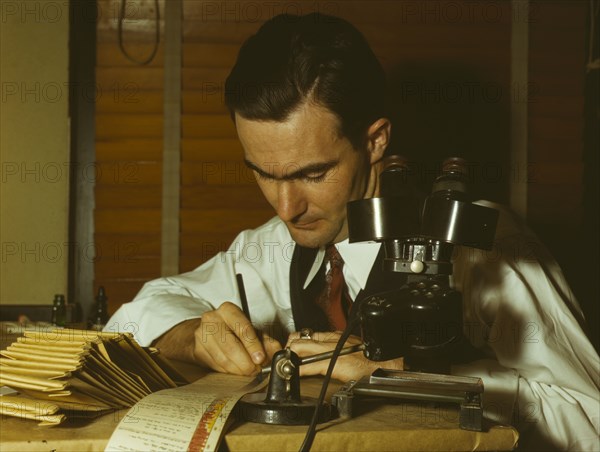 Geologist examining cuttings from wildcat well, Amarillo, Texas, (1943?). Creator: John Vachon.