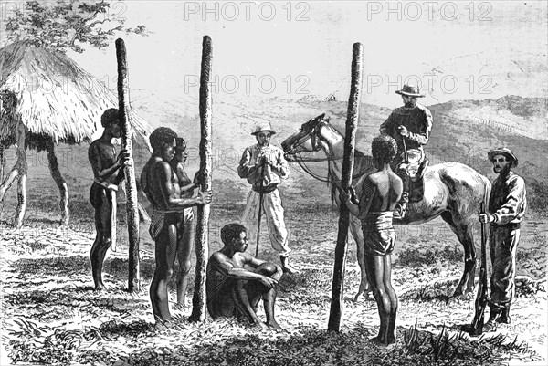 'New Caledonians constructing a house; Some Account of New Caledonia', 1875. Creator: Unknown.