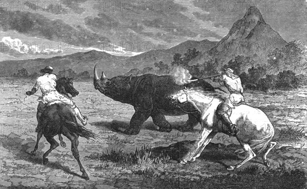 'Shooting Rhinoceros; Life in a South African Colony', 1875. Creator: Unknown.