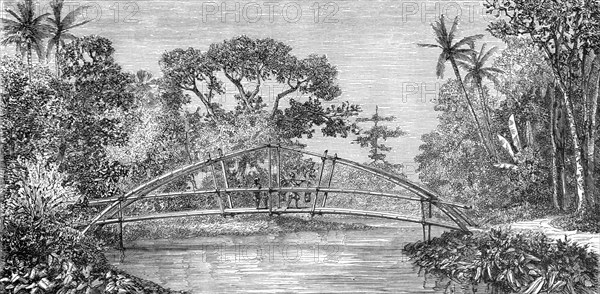 River Scene, Borneo; A Visit to Borneo', 1875. Creator: A.M. Cameron.