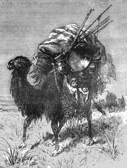 'Camel of a Tartar Emigrant; The newly-conquered Russian Province of Dzungaria', 1875. Creator: Armin Vambery.