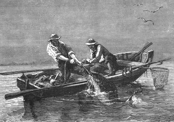 'Hauling in a Drum-Fish; A Flying Visit to Florida', 1875. Creator: Thomas Mayne Reid.