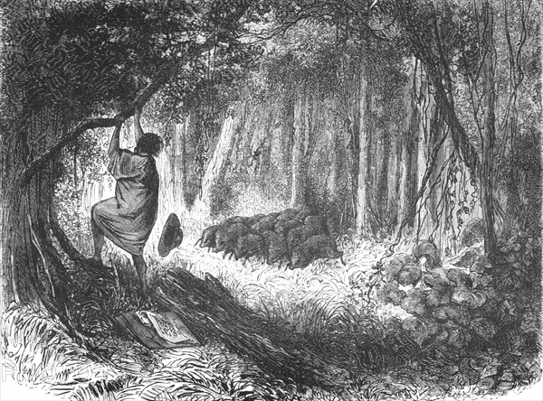 'An Aboriginal in Danger; An Ascent of the Cofre de Perote, Mexico', 1875. Creator: Unknown.