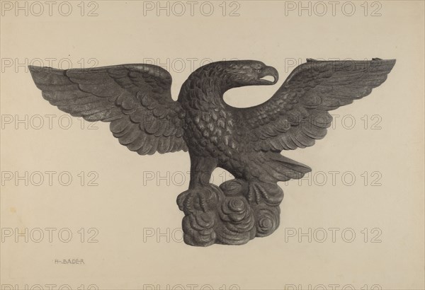 Eagle, c. 1939.