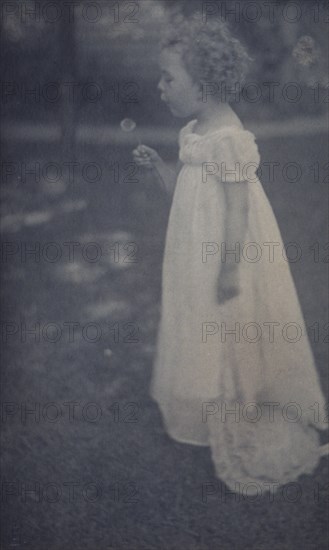 Dandelions, c1900. Creator: Ema Spencer.