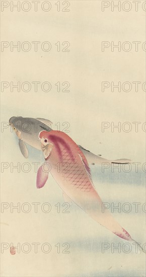 Two carp. Private Collection.