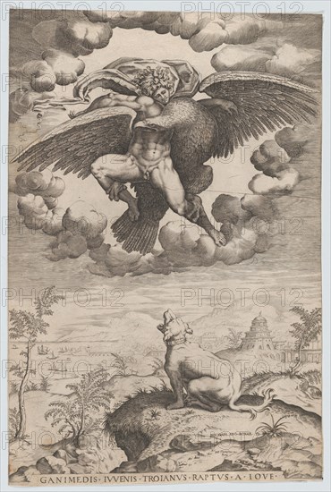 The Rape of Ganymede, 1542-60.