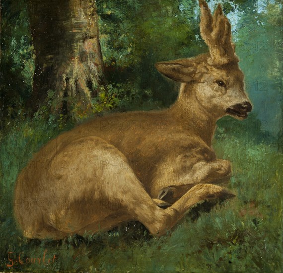 Roebuck. Creator: Courbet, Gustave (1819-1877).