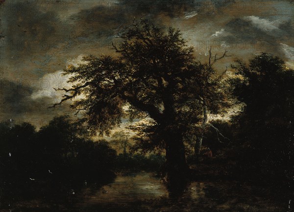 The Old Oak, c1648.