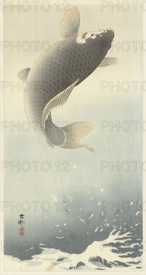 Jumping carp. Private Collection.