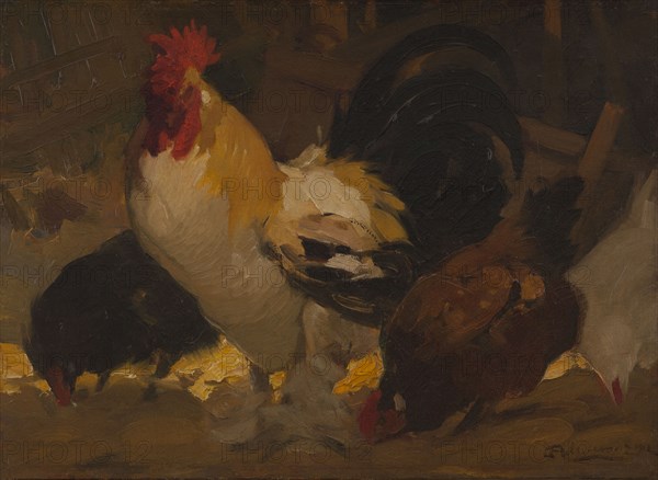 Rooster and hens, 1912.