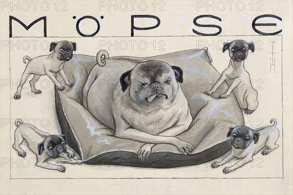 Pugs. Private Collection.