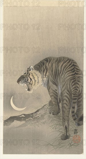 Roaring tiger. Private Collection.