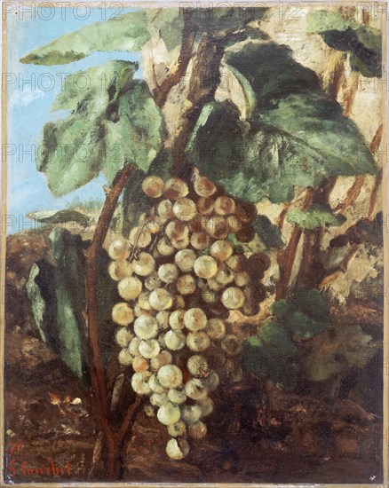 Grappe de raisins, 1871.
