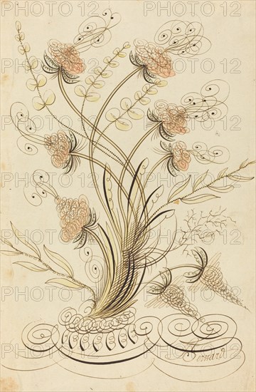 Calligraphic Flowers.