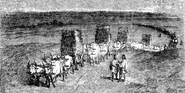 'Moldavian Transport Wagons', 1854 Creator: Unknown.