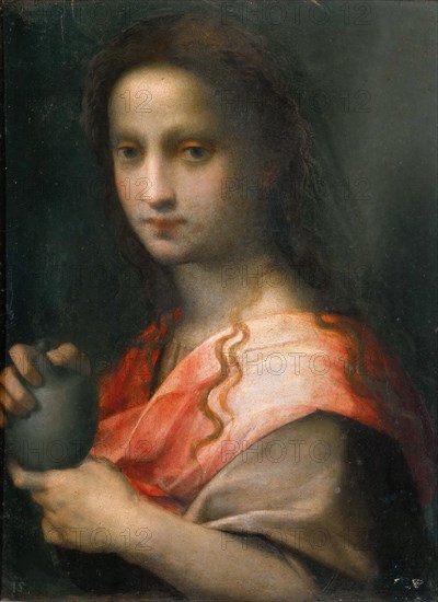 Mary Magdalene. Creator: Puligo, Domenico (1492-1527).