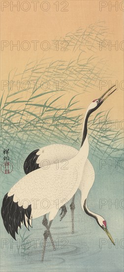 Two cranes, 1925-1936. Private Collection.