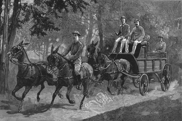 'A Mule four-in-hand in Burma', 1886.   Creator: Unknown.