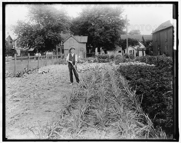 War Garden, between 1910 and 1920.