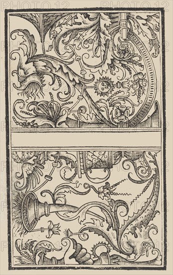 Trionfo Di Virtu. Libro Novo., 1563.