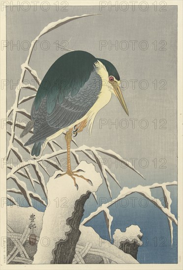 Heron in snow, 1920-1930. Private Collection.