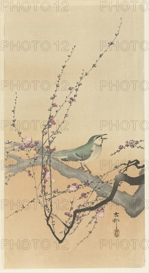 Songbird and plum blossom. Private Collection.