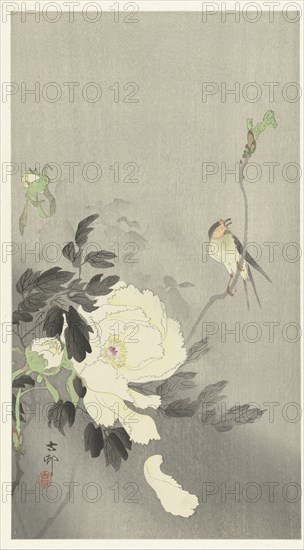 Bird and peony, 1920-1930. Private Collection.
