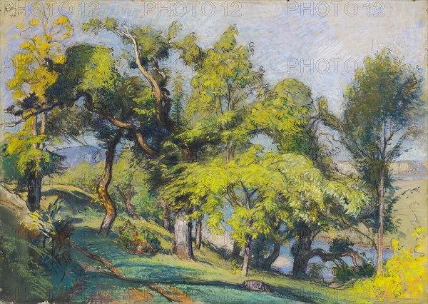 Chestnut Trees above a River, c.1900.