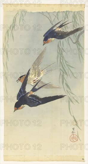 Three birds in full flight. Private Collection.