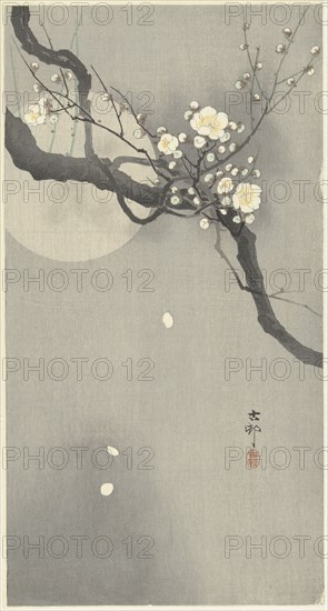 Plum blossom and full moon. Private Collection.