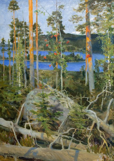 Wilderness, 1892. Creator: Gallen-Kallela, Akseli (1865-1931).