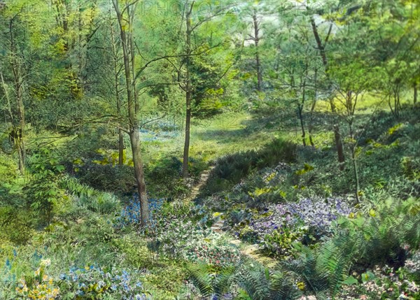 Unidentified garden, c1920.