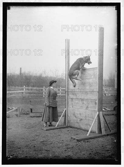 Society circus, between 1909 and 1923.