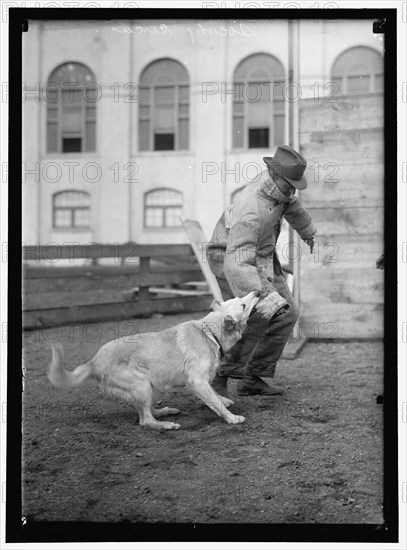 Society Circus, between 1909 and 1923.