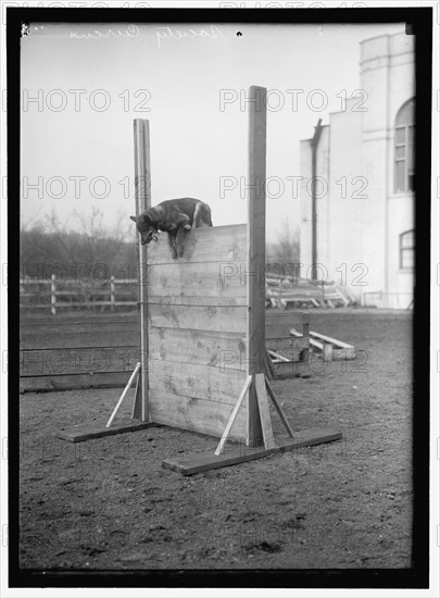 Society Circus, between 1909 and 1923.