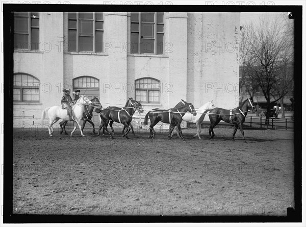 Society Circus, between 1910 and 1917.