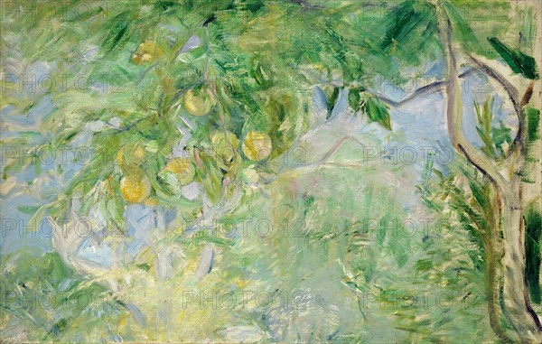 Branches d'oranger, 1889. Creator: Morisot, Berthe (1841-1895).