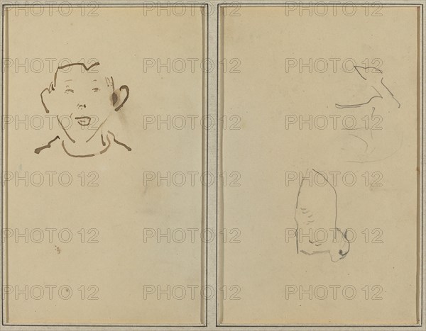 Boy's Face; Two Sheep [verso], 1884-1888.