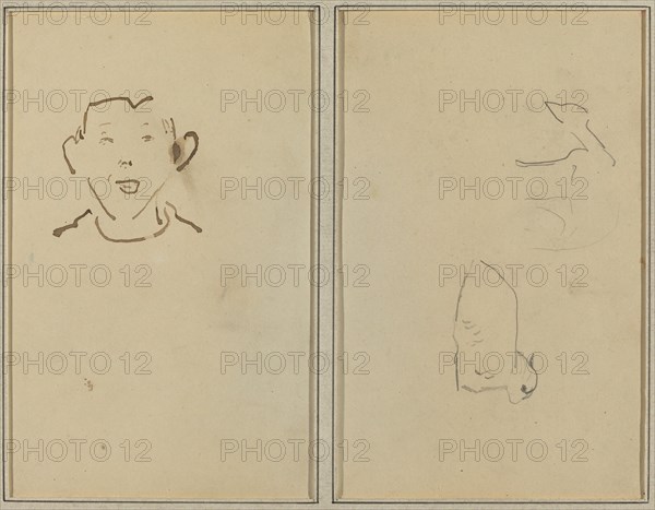Boy's Face; Two Sheep [verso], 1884-1888.