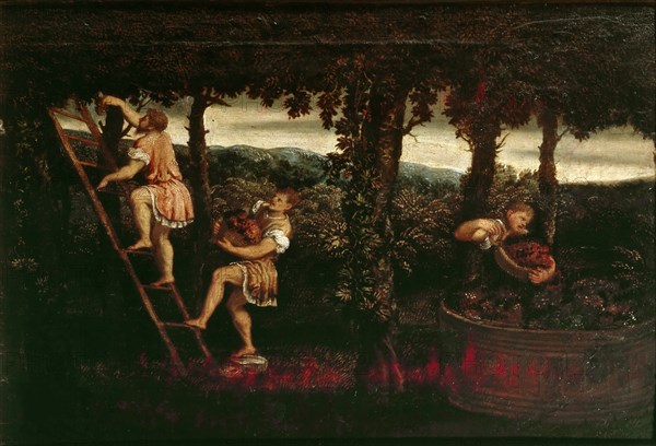 The grape harvest, c. 1550. Creator: Bordone, Paris (1500-1571).