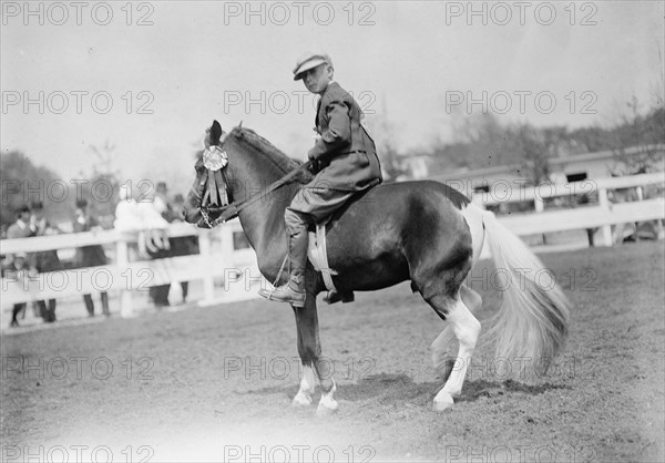 Horse Shows - Children And Ponies, 1911.