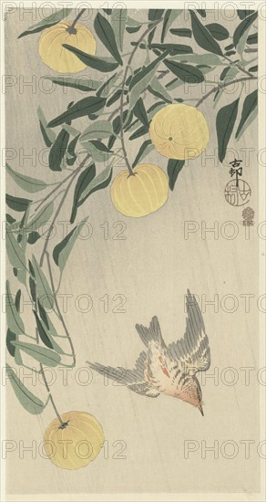 Cuckoo in the rain, 1900-1910. Private Collection.