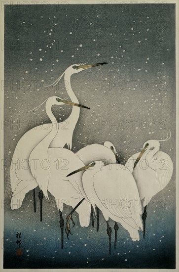 Egrets in the snow, 1925-1936. Private Collection.