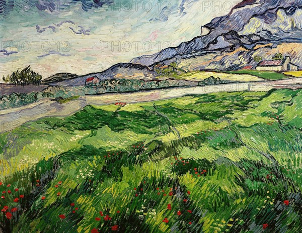 Green wheat field, 1889. Creator: Gogh, Vincent, van (1853-1890).