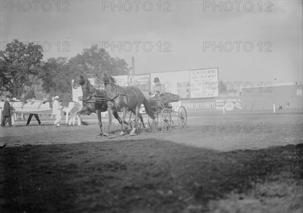 Horse Shows - E.T. Stotesbury Driving, 1910.