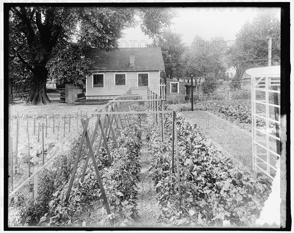 War Garden Commission, between 1910 and 1920.