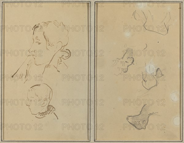 Two Heads; Studies of Sheep [recto], 1884-1888.